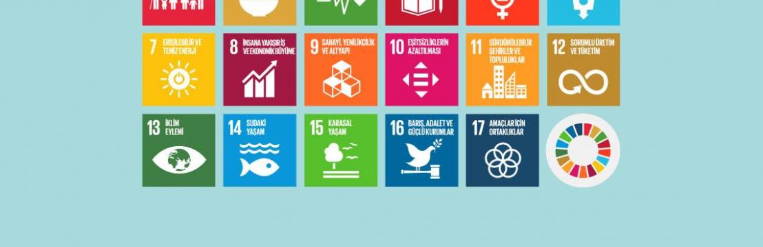 SDG Etkinlikleri